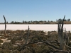 Australien 2007-048 Australien 2007-048